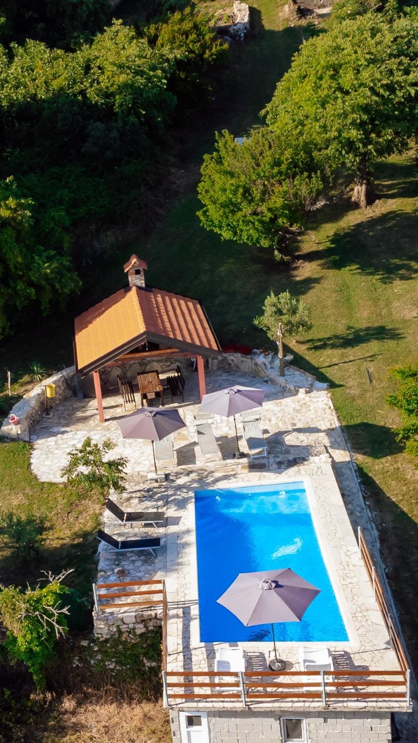 Garden, Pool view, Swimming pool, sunbed