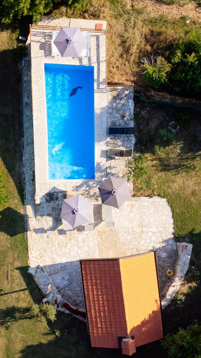 Day, Pool view, Swimming pool, sunbed