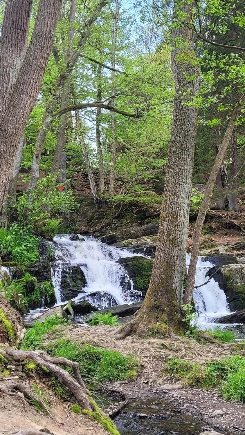 Nearby landmark, Natural landscape