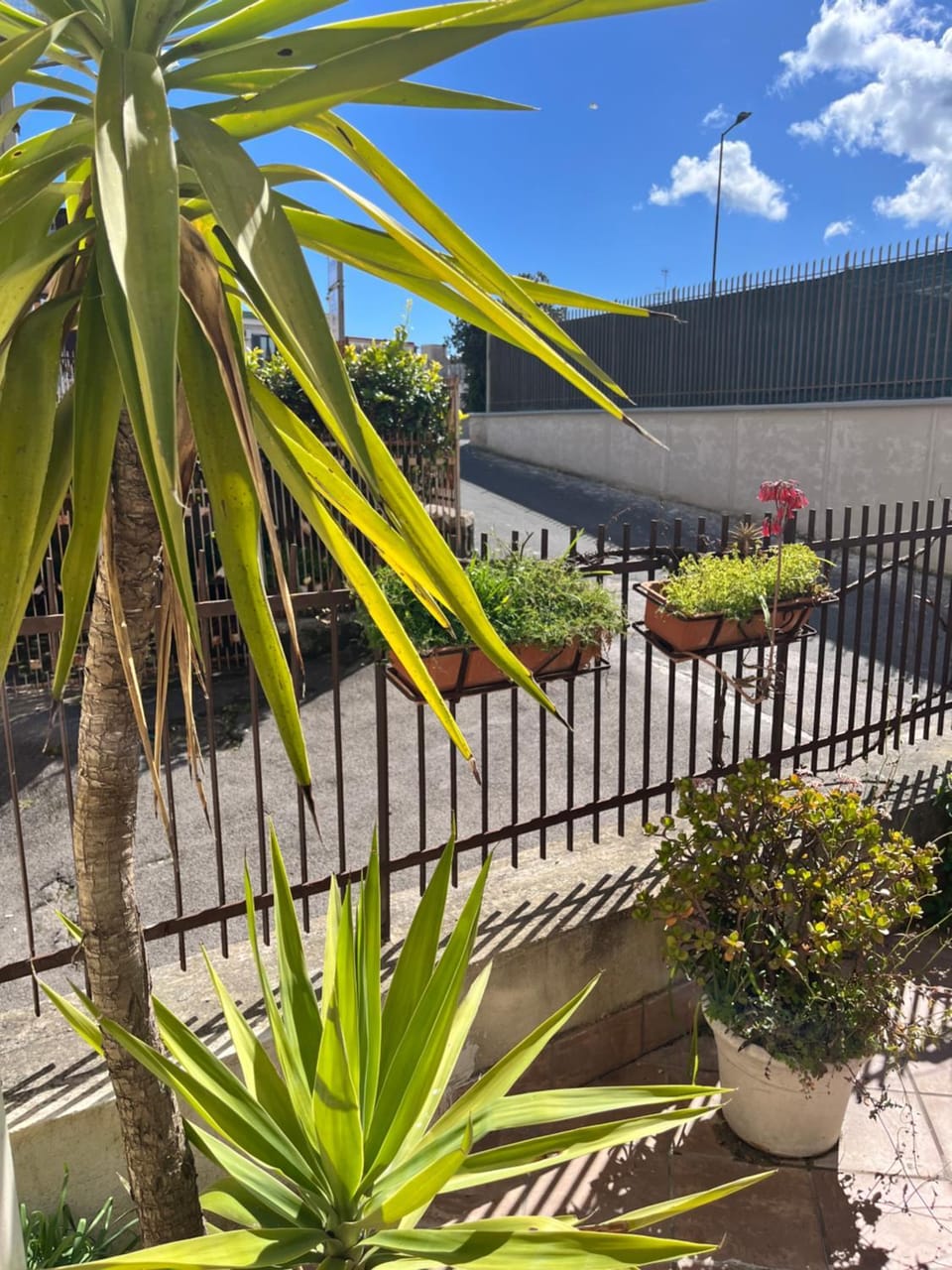 Solfatara Street Apartment in Pozzuoli