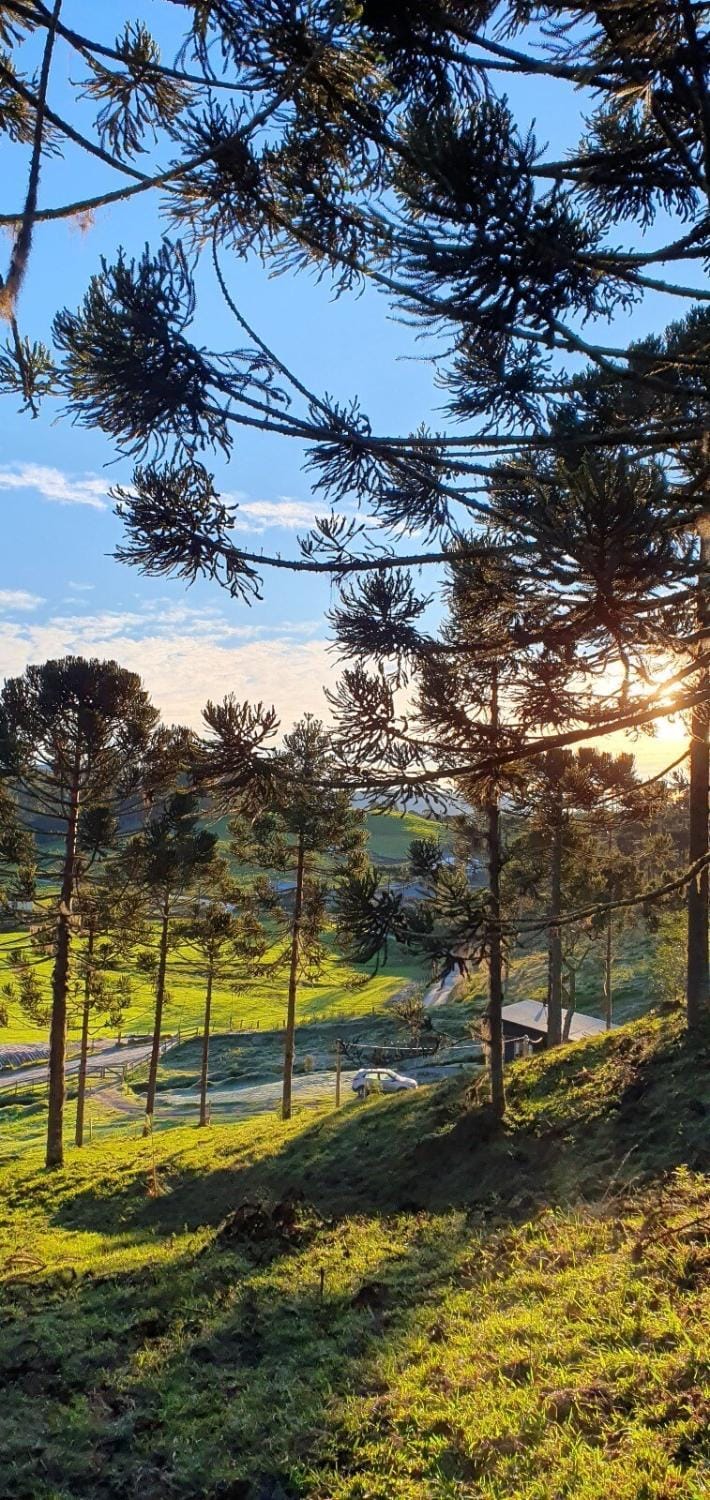 Natural landscape