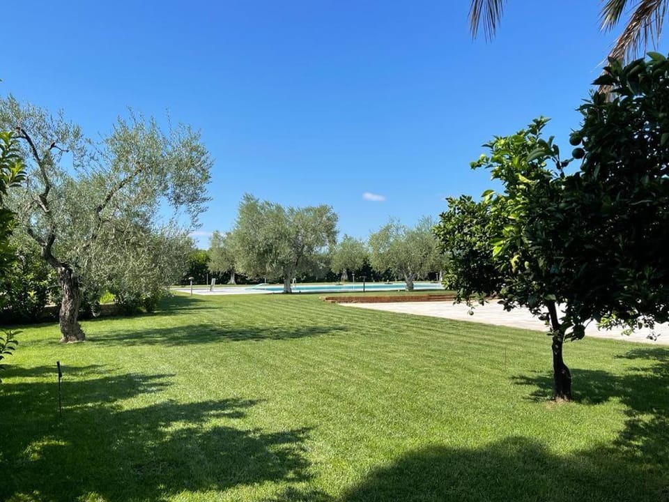 Natural landscape, Garden view