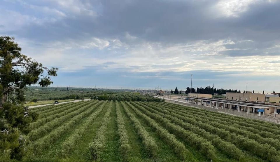 Garden, Garden view