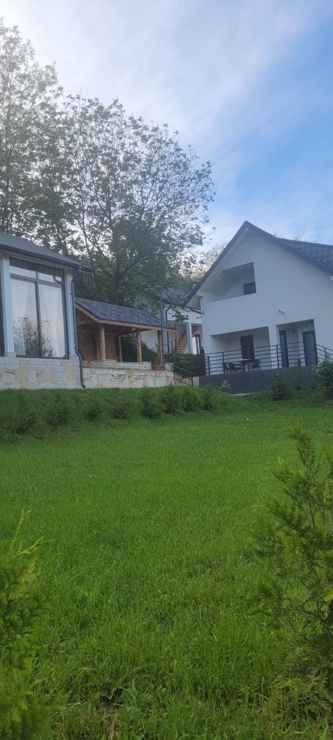 Property building, Spring, Day, Natural landscape, Garden, Garden view