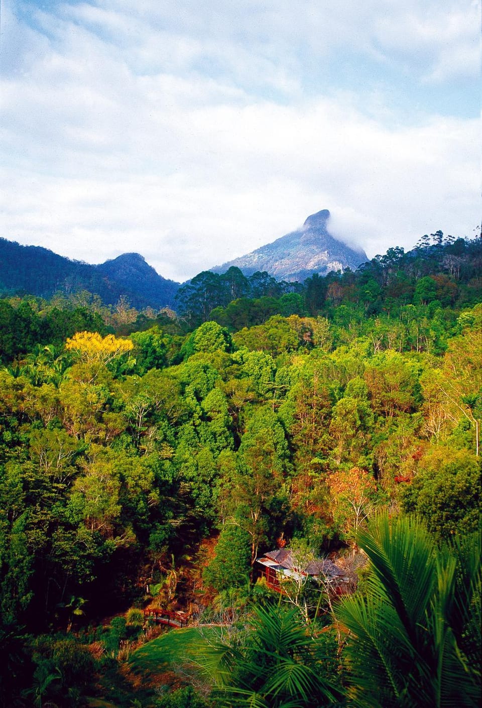 Bird's eye view, Mountain view
