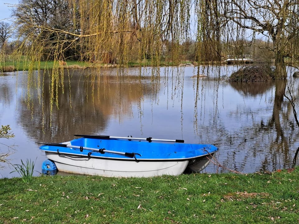 Lake view
