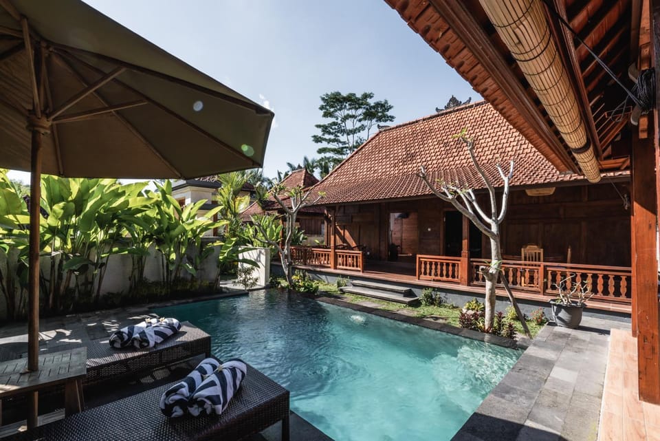 Property building, Patio, Day, Natural landscape, Garden, Living room, Garden view, Pool view, Swimming pool, sunbed