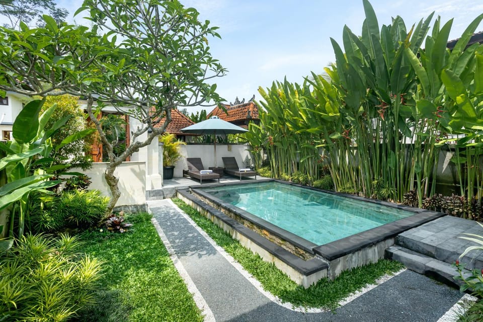 Spring, Day, Natural landscape, Garden, Garden view, Pool view, Swimming pool, Swimming pool, sunbed