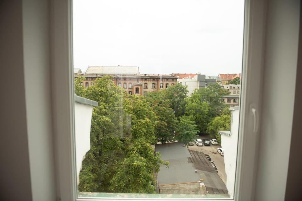 Neighbourhood, City view