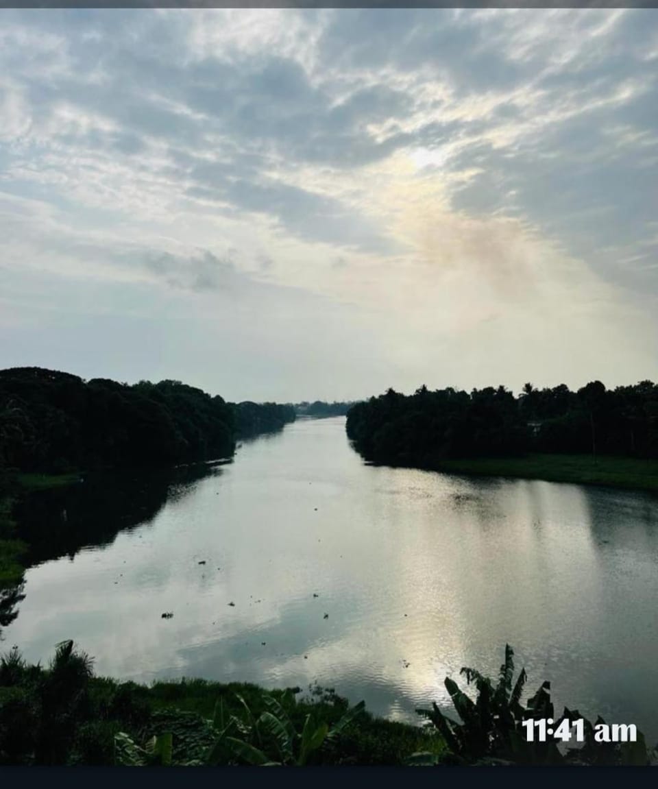 Lake view