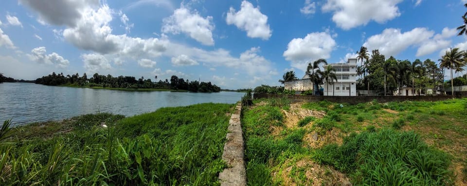 Natural landscape