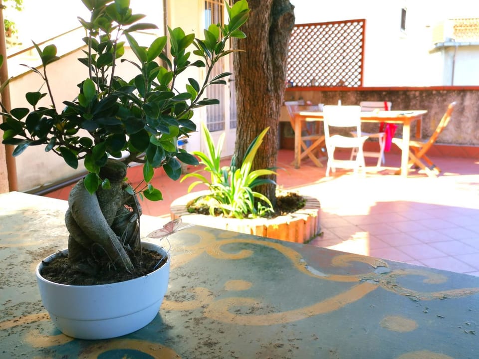 Patio, Day, Living room, Seating area, Dining area