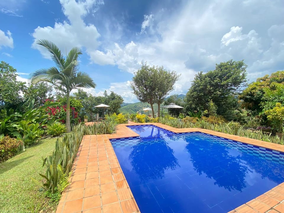 Garden, Balcony/Terrace, Pool view, Swimming pool