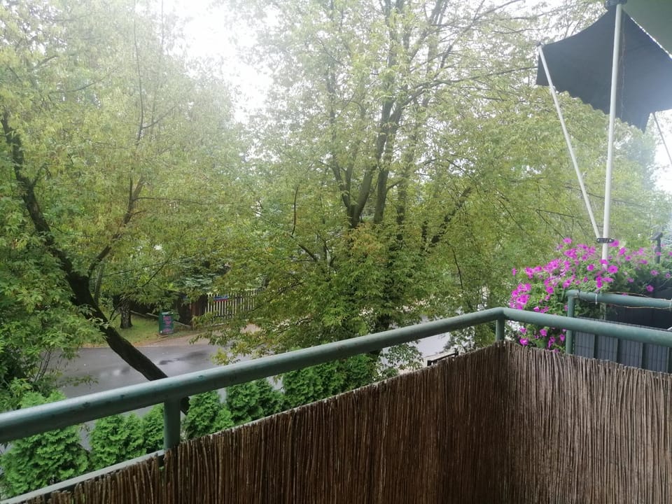 Spring, Balcony/Terrace, Street view
