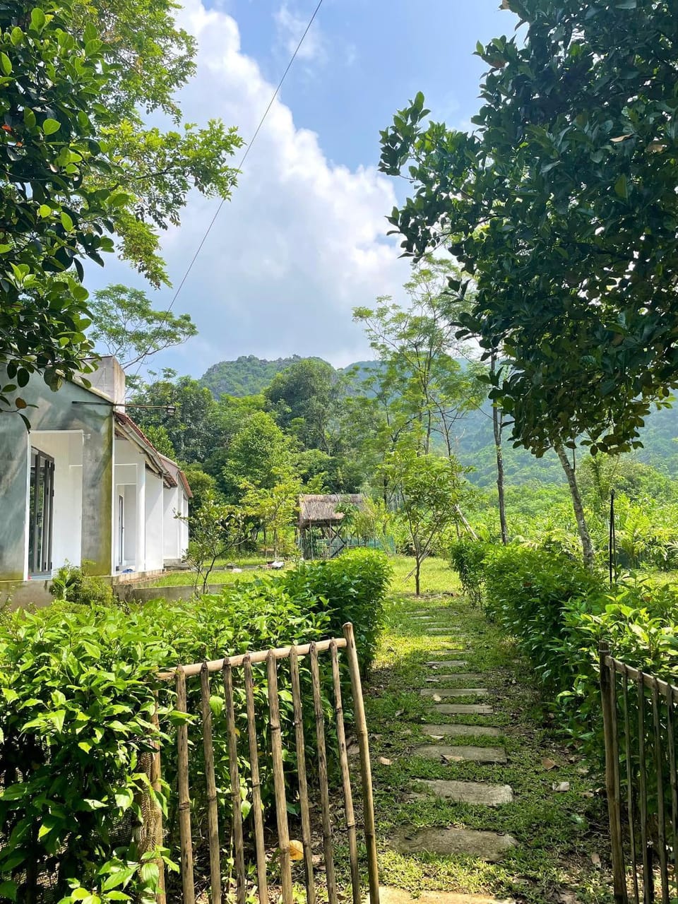 Garden