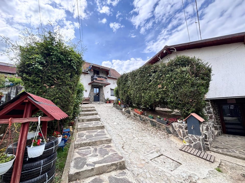 Cazare La Luiza Villa in Romania