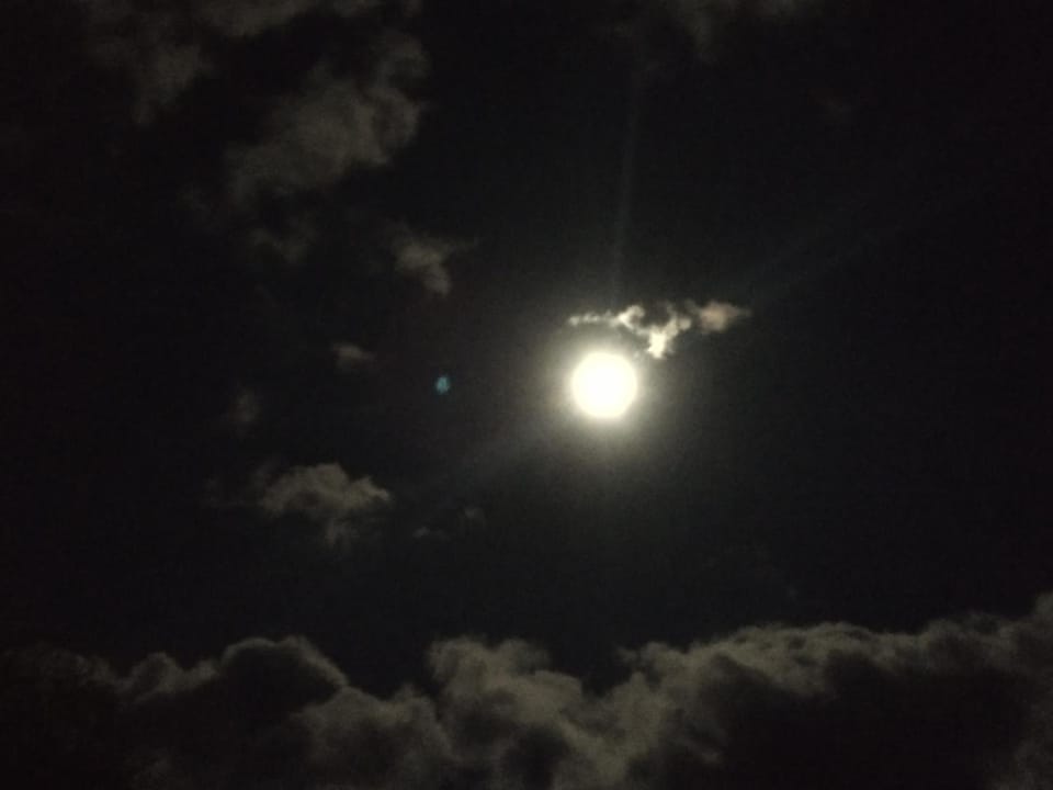 Night