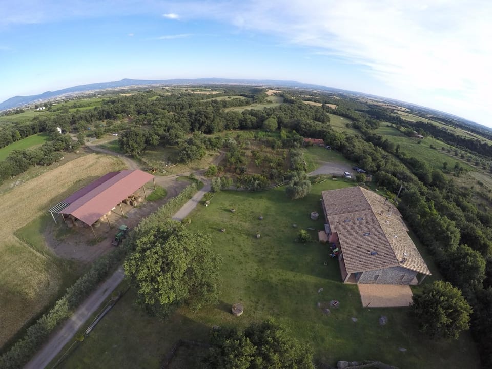 Property building, Bird's eye view, Garden