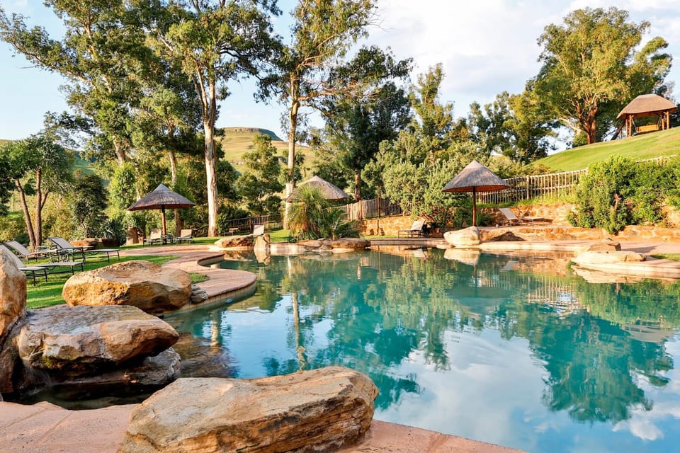 Day, Summer, On site, Garden view, Pool view, Swimming pool, Swimming pool