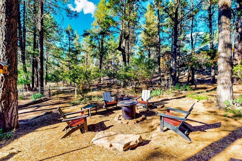 Cozy Bear Cabin Cabin in Colorado