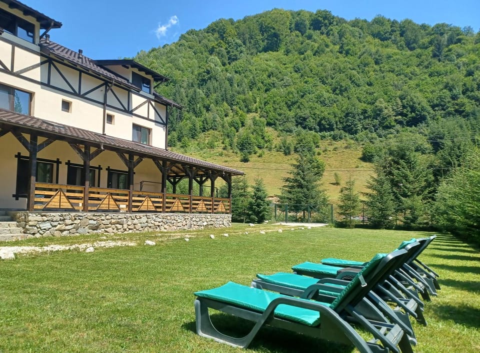 Garden, Mountain view, sunbed