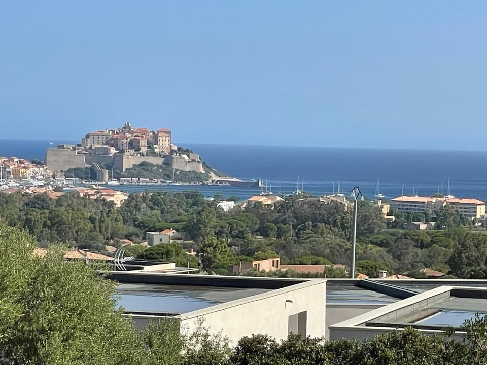 Villa de standing Villa in Calvi