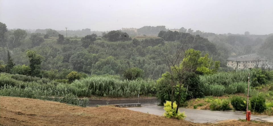 Day, Neighbourhood, Natural landscape