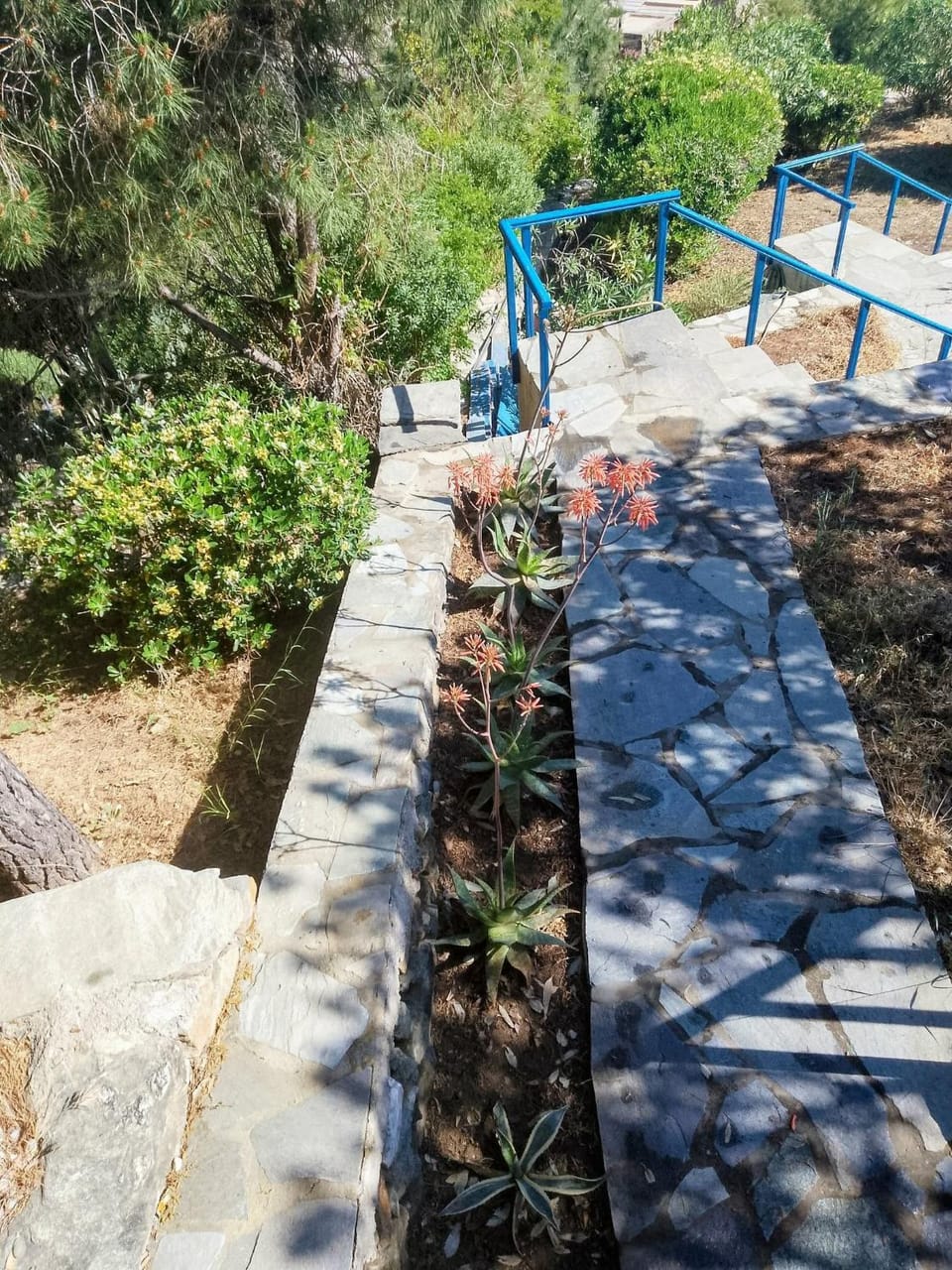 Garden, Decorative detail