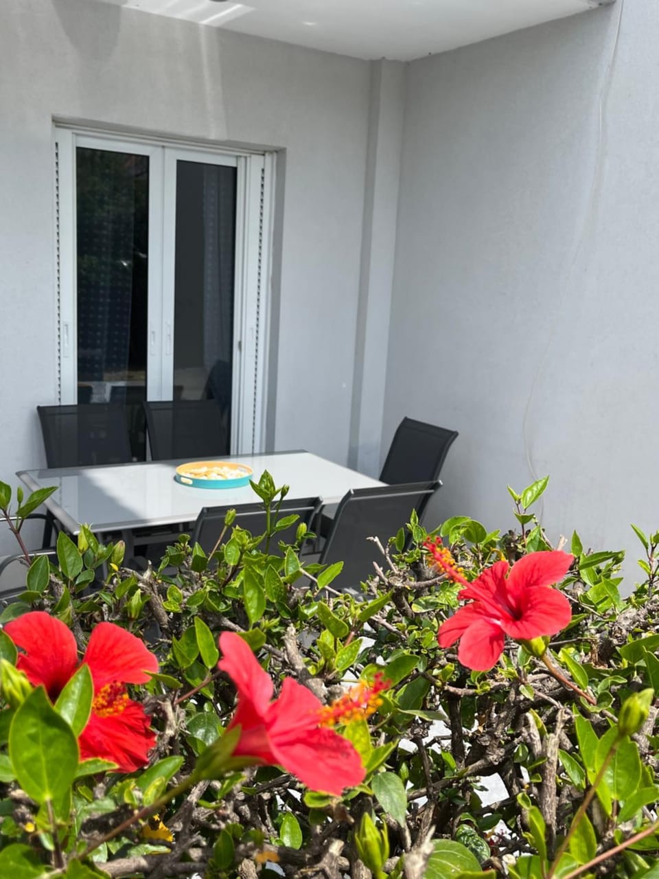 Patio, Garden, Garden view