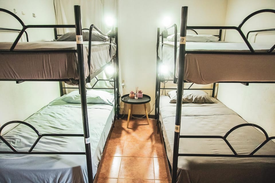 Bed, Photo of the whole room, Bedroom, bunk bed