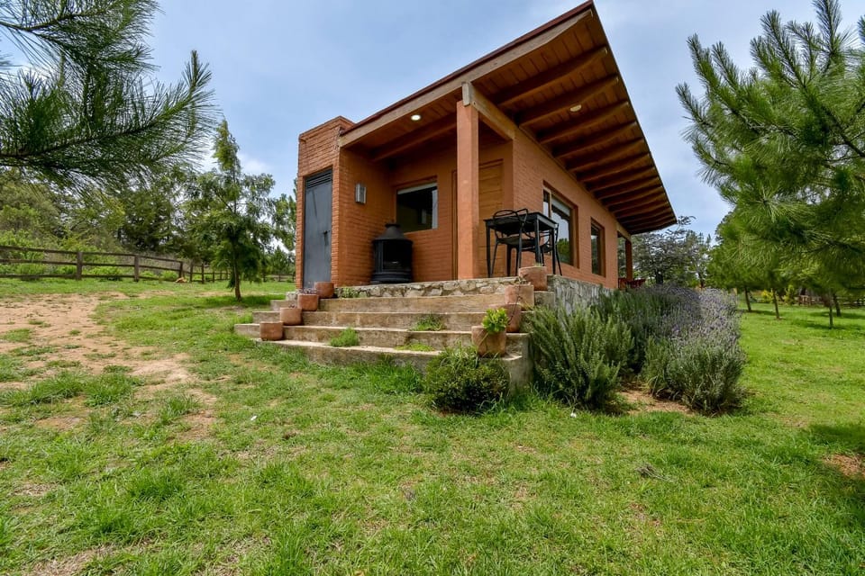 Property building, Day, Garden, Garden view