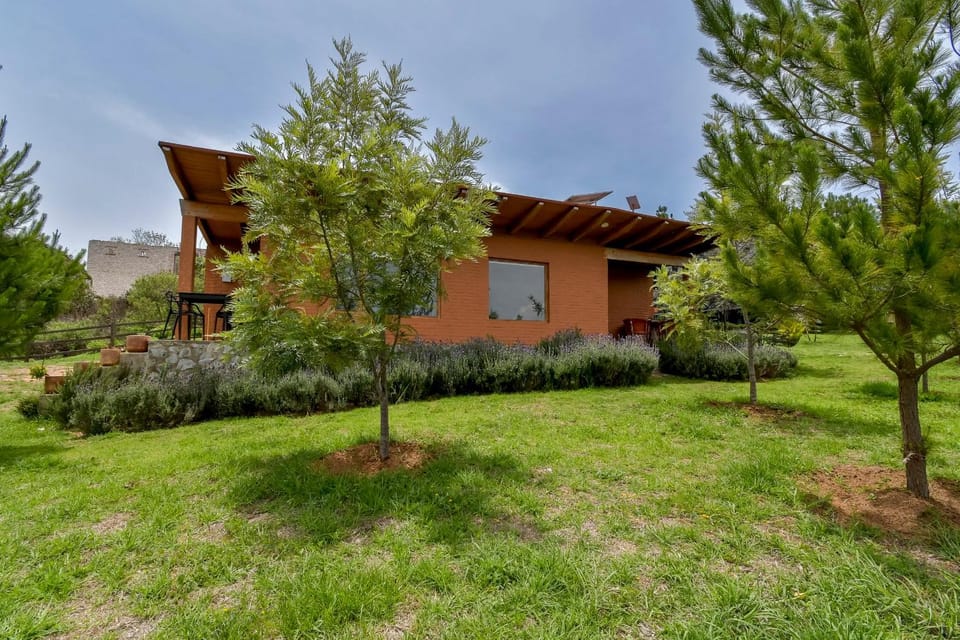 Property building, Day, Garden, Garden view
