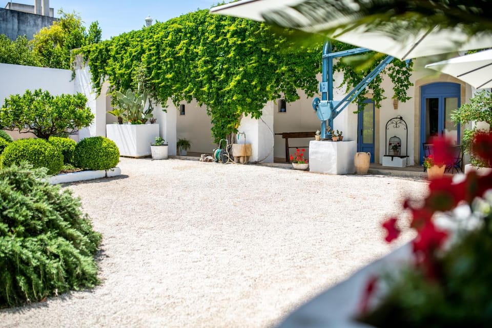 Patio, Inner courtyard view