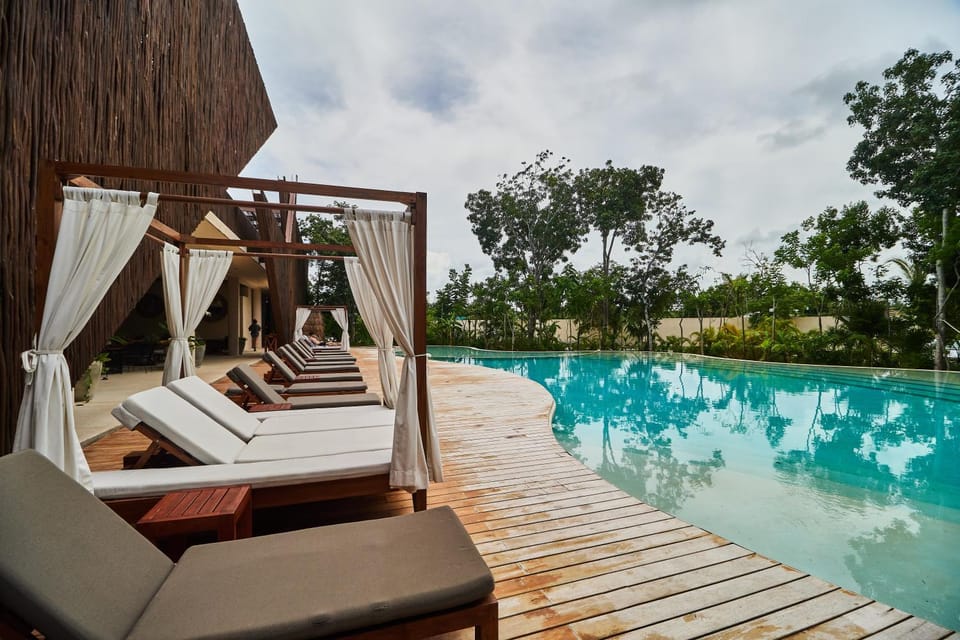 Day, Pool view, Swimming pool, Swimming pool, sunbed