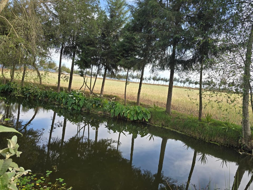 cabaña el rio 2 Villa in Hidalgo, Mexico