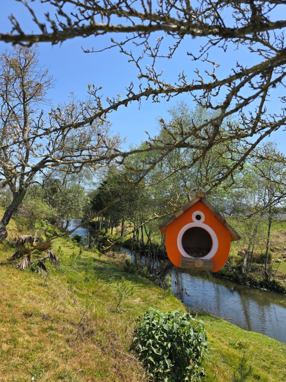 cabaña el rio 2 Villa in Hidalgo, Mexico