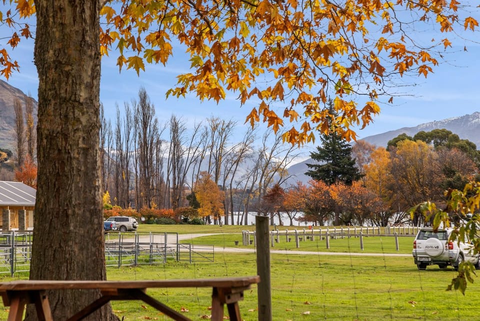 Natural landscape, Garden, Mountain view, Parking