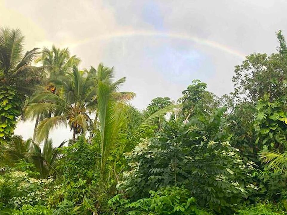 Garden view