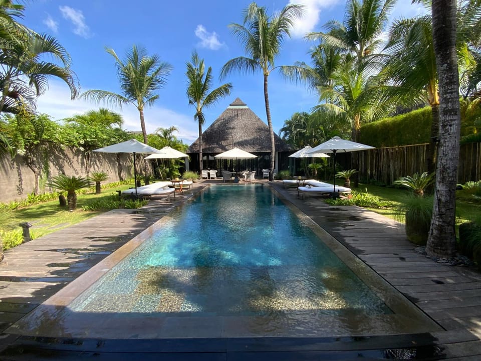 Garden, Garden view, Pool view, Swimming pool, sunbed