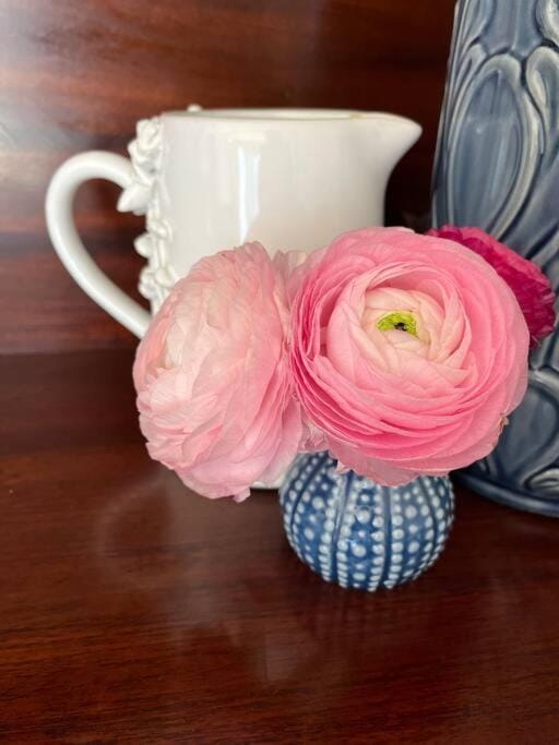 Hazel House Boutique Heritage Stay in Central Goulburn Apartment in Goulburn