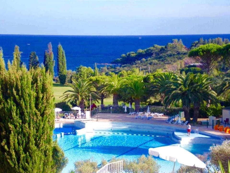 Swimming pool, Swimming pool, sunbed