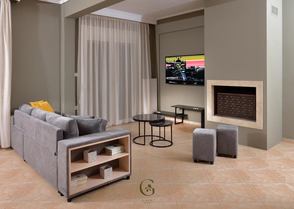 TV and multimedia, Living room, Entertainment, flat iron, air conditioner