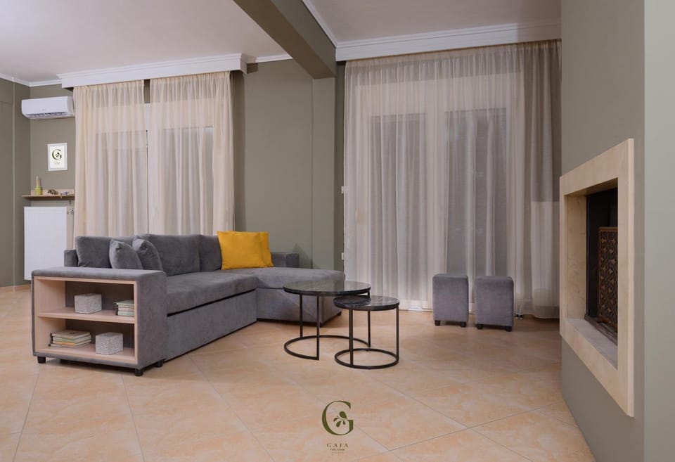 TV and multimedia, Living room, Entertainment, flat iron, air conditioner