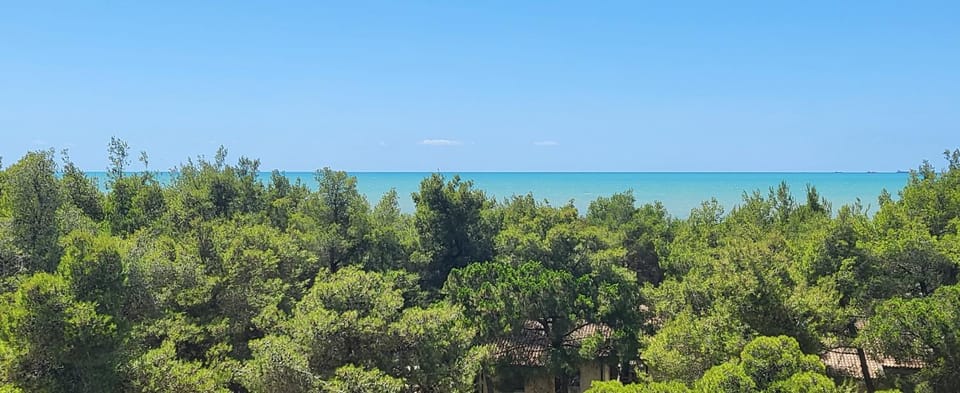 Sea view