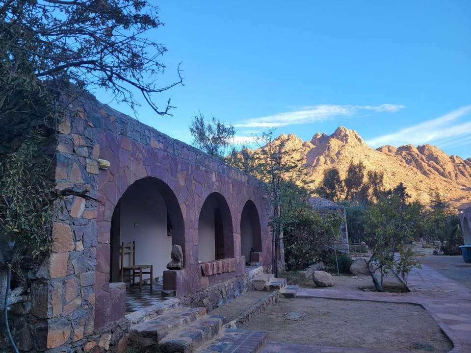 Fox Camp Farag Bed and Breakfast in South Sinai Governorate