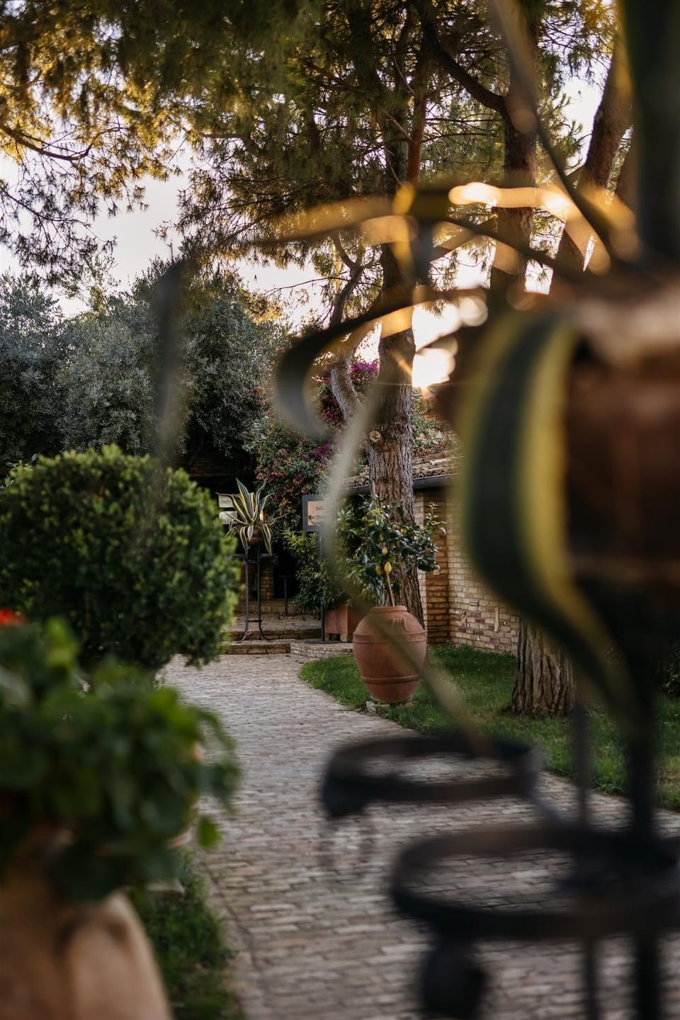 Day, Garden, Garden, Garden view