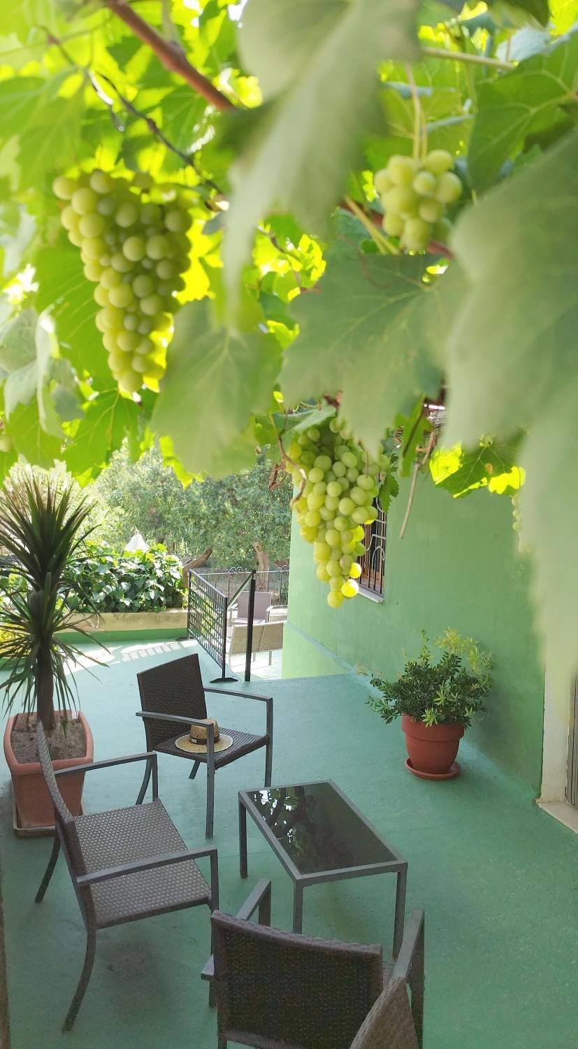 Patio, Natural landscape, Garden, Seating area, Dining area, Garden view, Area and facilities, Inner courtyard view