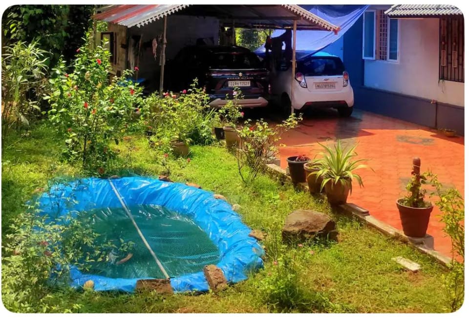 Garden, Garden view