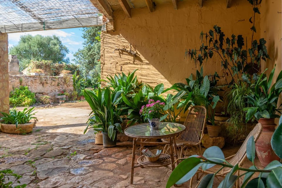Property building, Patio