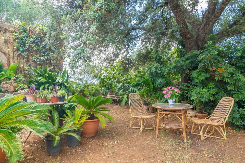 Property building, Patio